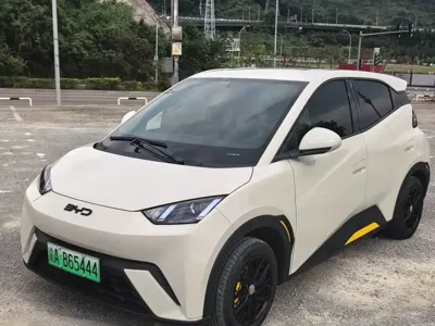 BYD Seagull
