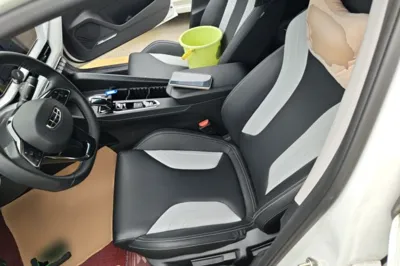 Geely Auto Binray