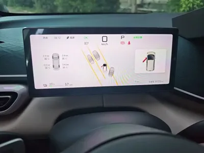 BYD Seagull