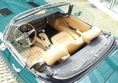 Jaguar Others