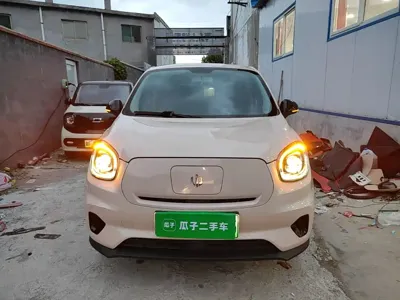 Leapmotor Leapmotor T03