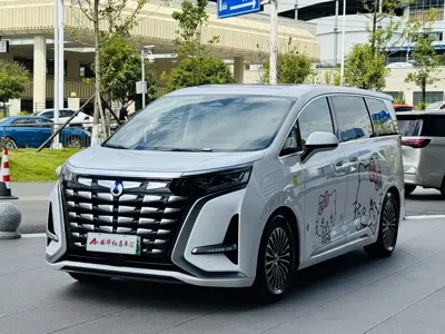 Denza Denza D9