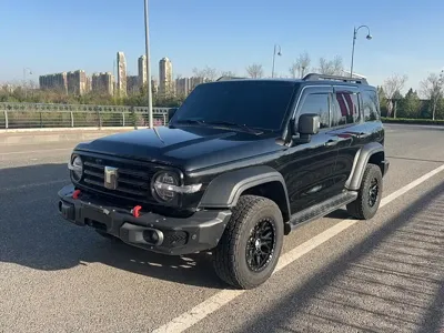 Tank Tank 300