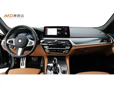 BMW 5 Series (Import)