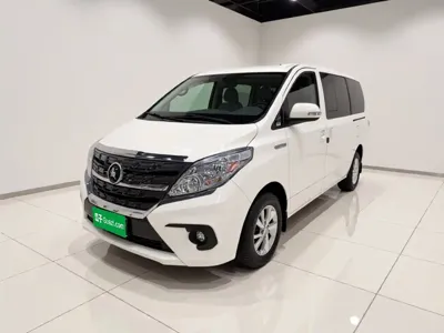 Fengxing Lingzhi PLUS