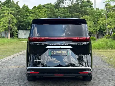 Denza Denza D9
