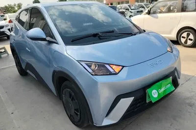 BYD Seagull