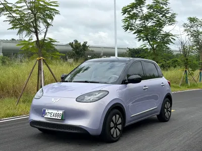Wuling Bingo