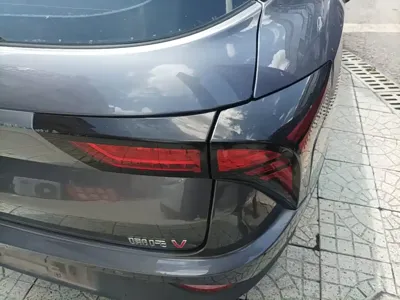 NETA Neta V