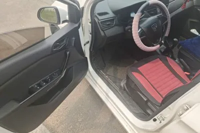 Baojun 310