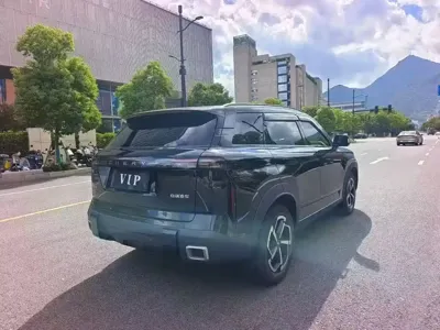 Chery Explorer 06