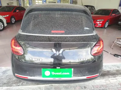 Wuling Bingo