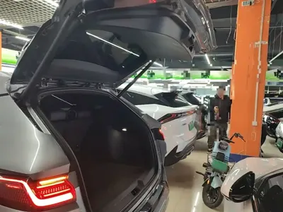 BYD PLUS New Energy