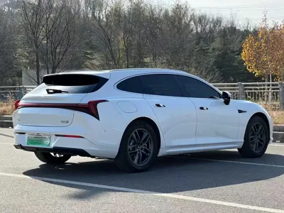 NETA S Shooting Brake