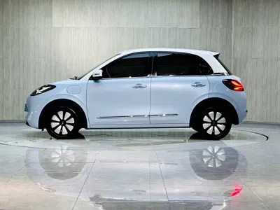 Wuling Bingo