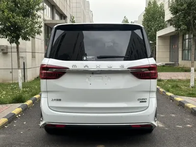 大通 G20