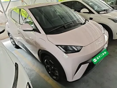 BYD Seagull