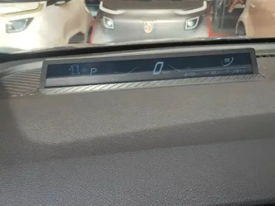 NETA Neta V