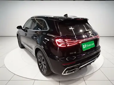Hongqi Hongqi HS5