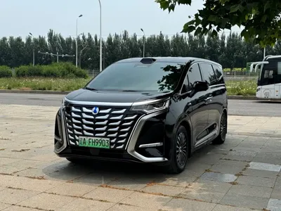 Denza Denza D9