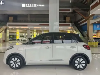 Wuling Bingo