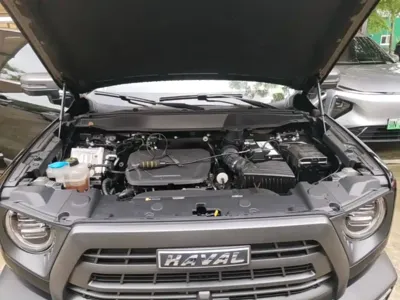 Haval Big Dog