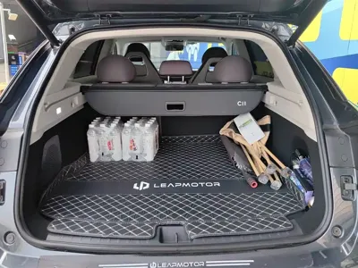 Leapmotor Leapmotor C11