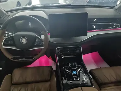 BYD Tang New Energy