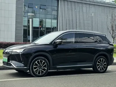 WM Motor W6