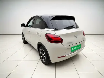 Wuling Bingo