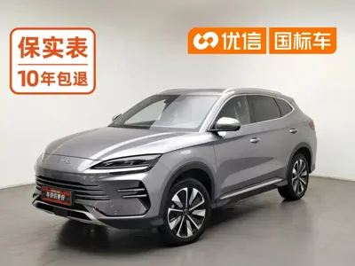 BYD PLUS New Energy