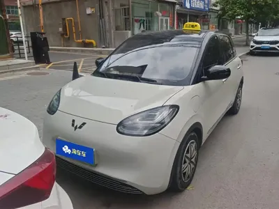 Wuling Bingo