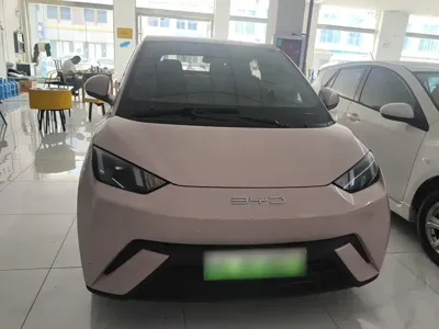 BYD Seagull