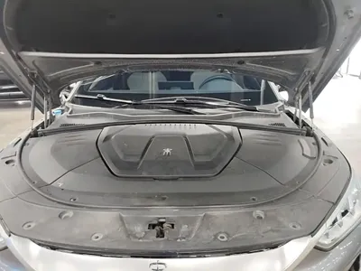 BYD PLUS New Energy