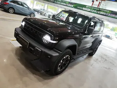 Tank Tank 300L New Energy