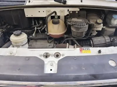 Maxus V80