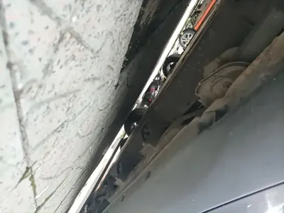 NETA Neta V
