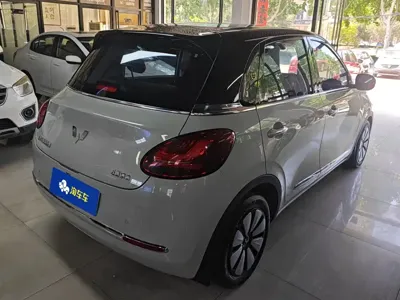 Wuling Bingo
