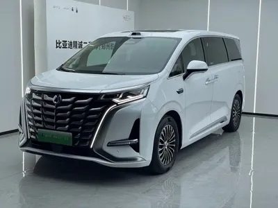 Denza Denza D9