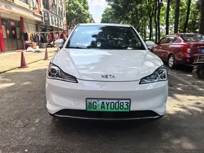 NETA Neta V