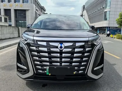 Denza Denza D9