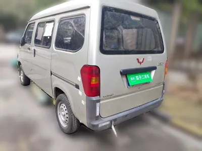 Wuling Zhiguang