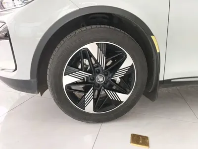 BYD Tang New Energy