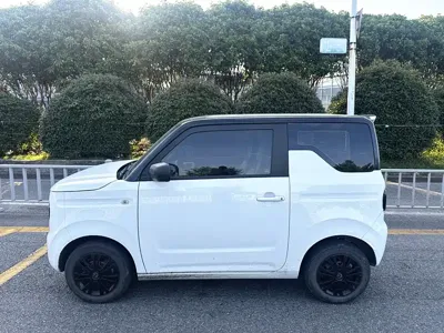 Galaxy Panda