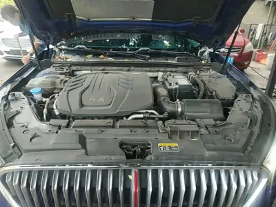 Hongqi Hongqi H5