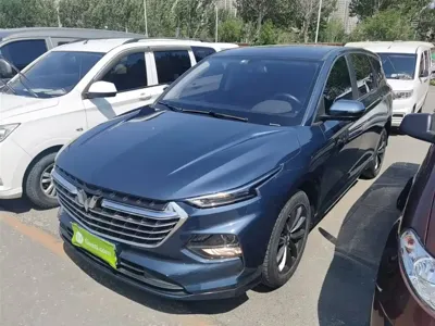 Wuling Victory