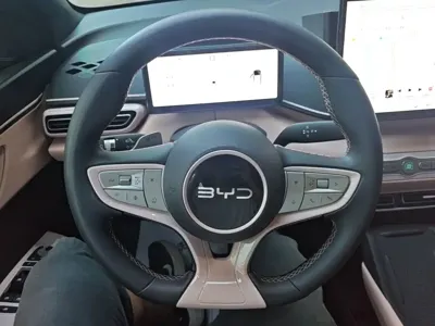 BYD Seagull