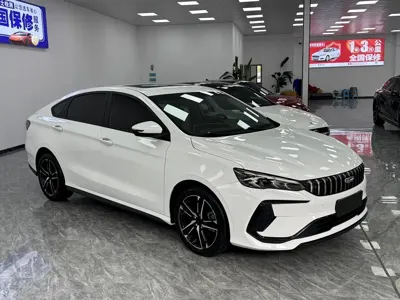 Geely Binrui