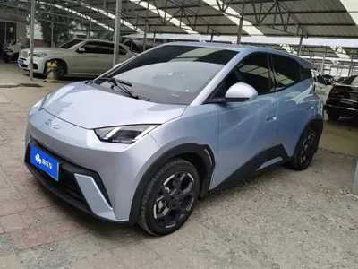BYD Seagull