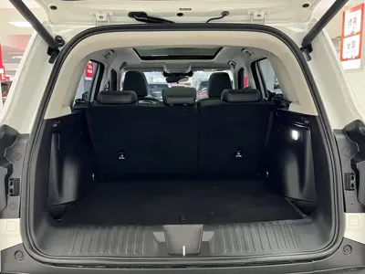 Haval Big Dog